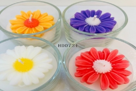 海口陈德祯科技有限公司形象图